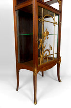 将图片加载到图库查看器,Vitrine Art Nouveau, Bronzes dorés sur un thème floral, France, vers 1900