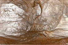 Загрузить изображение в средство просмотра галереи, Important Miroir par Emile André, "Le Coq Français Triomphant de L'Aigle Allemand" d'après JOB, Art Nouveau, 1916