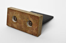 将图片加载到图库查看器,Bronze de Beethoven par Henri Dropsy