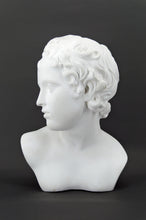 将图片加载到图库查看器,Buste féminin en plâtre à l'antique