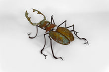 将图片加载到图库查看器,Table basse au scarabée par François Melin, circa 1970