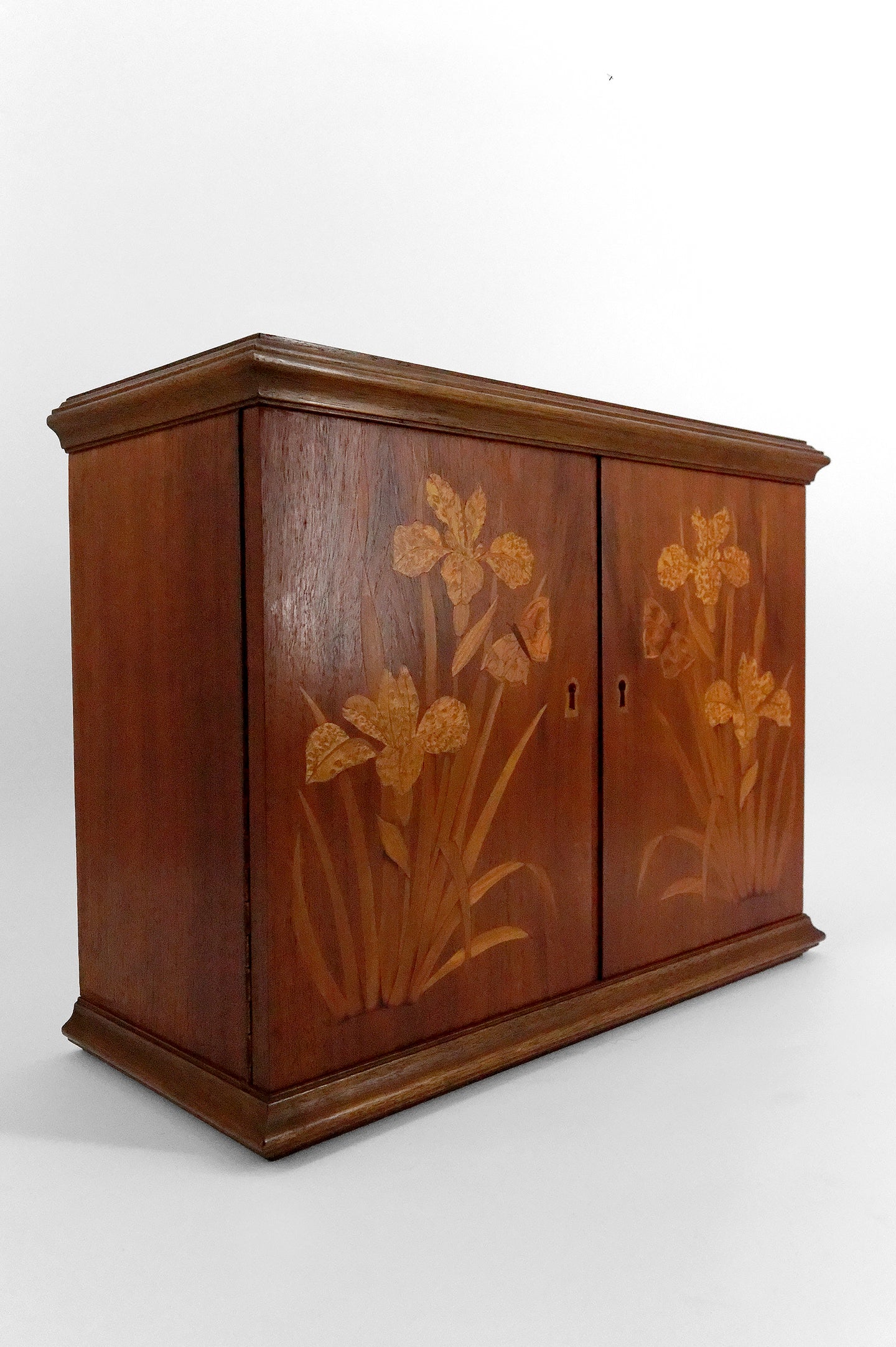 Armoire murale Art Nouveau en bois marqueté d'iris et de papillons, France, XXe