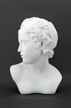 Charger l&#39;image dans la galerie, Buste féminin en plâtre à l&#39;antique
