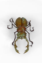 Cargar imagen en el visor de la galería, Table basse au scarabée par François Melin, circa 1970
